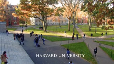 Harvard University scholarships